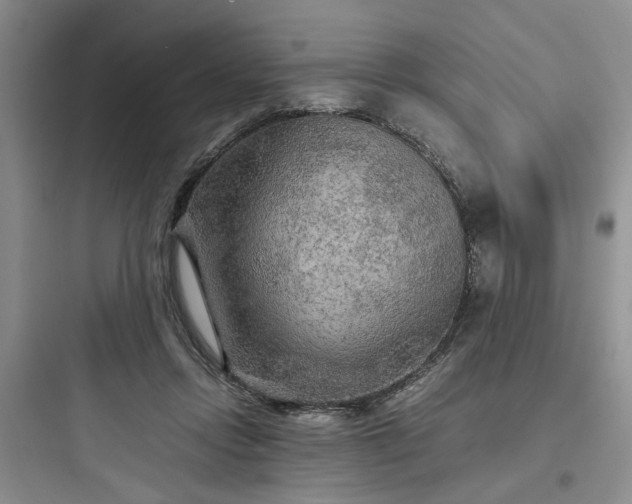 X0000097900358200803211447