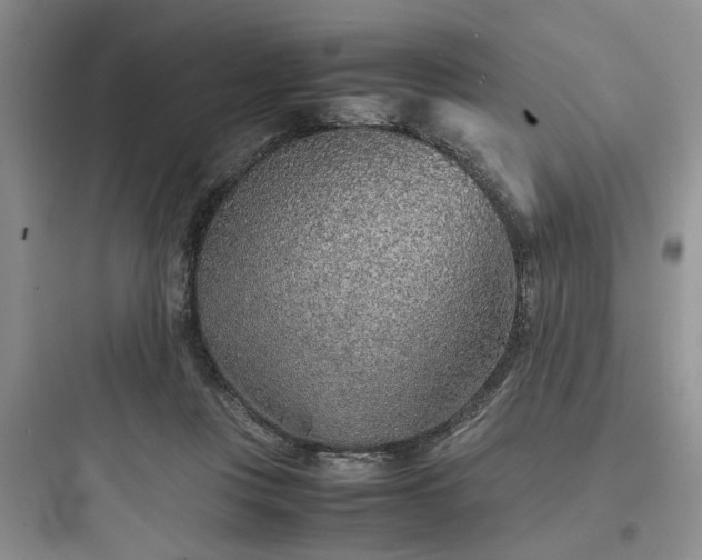 X0000097900359200803211447