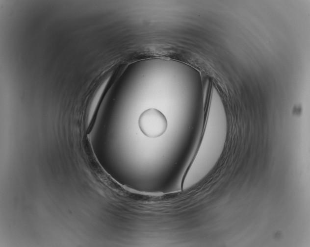 X0000097900360200803211447