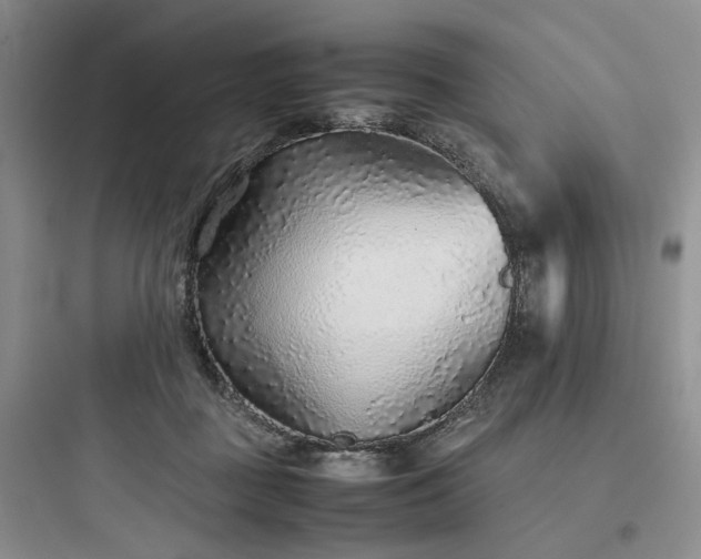 X0000097900363200803211447