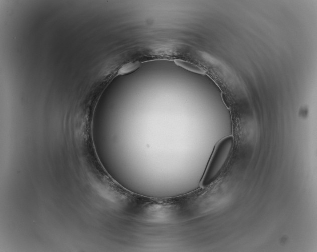 X0000097900364200803211447