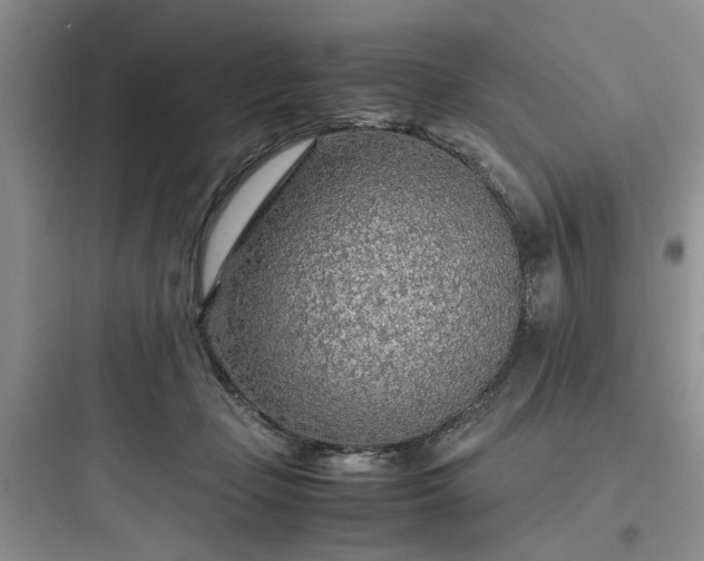 X0000097900365200803211447