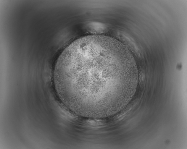 X0000097900367200803211447