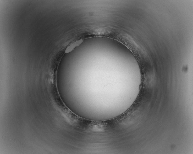 X0000097900368200803211447