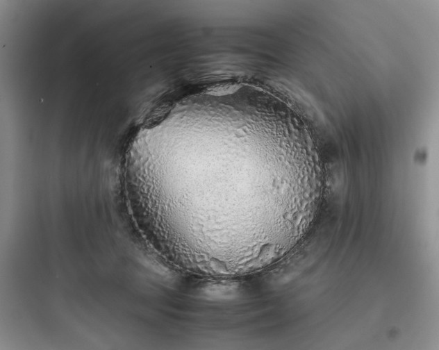 X0000097900369200803211447