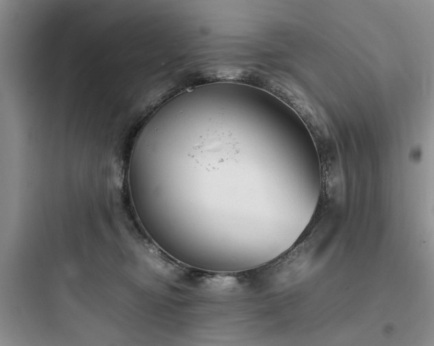 X0000097900374200803211447