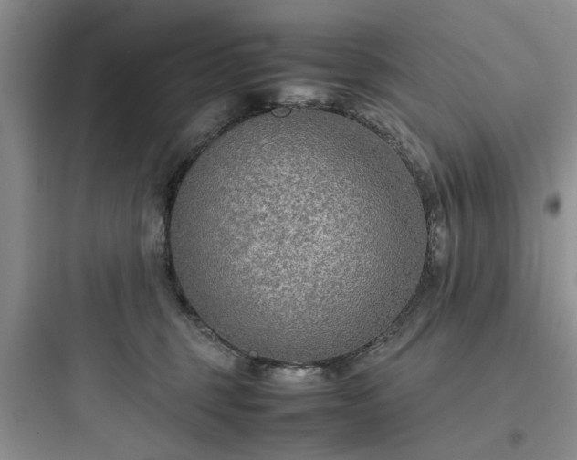 X0000097900375200803211447