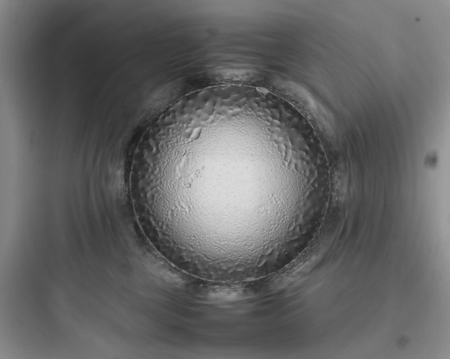 X0000097900377200803211447