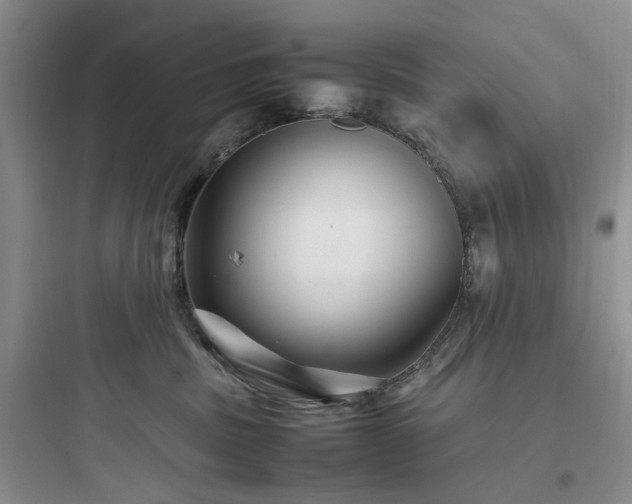 X0000097900379200803211447