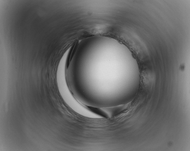 X0000097900380200803211447
