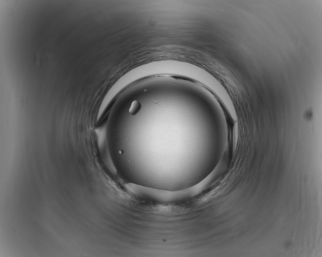 X0000097900382200803211447