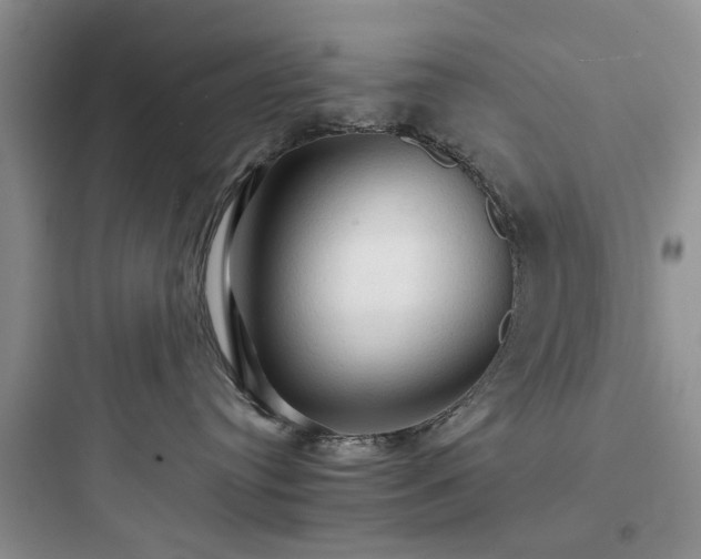 X0000097900384200803211447
