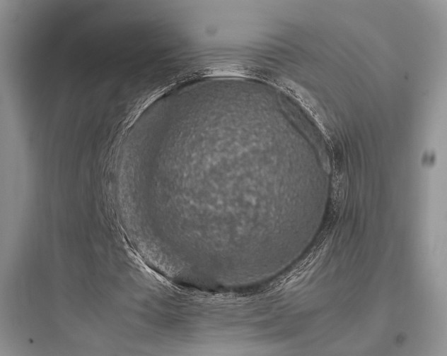 X0000097900385200803211446