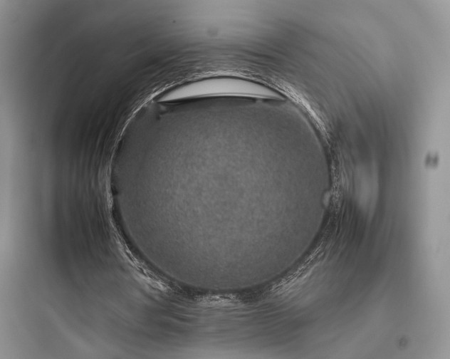 X0000097900386200803211446