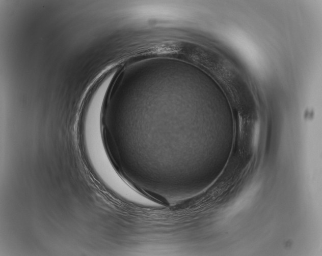 X0000097900387200803211446