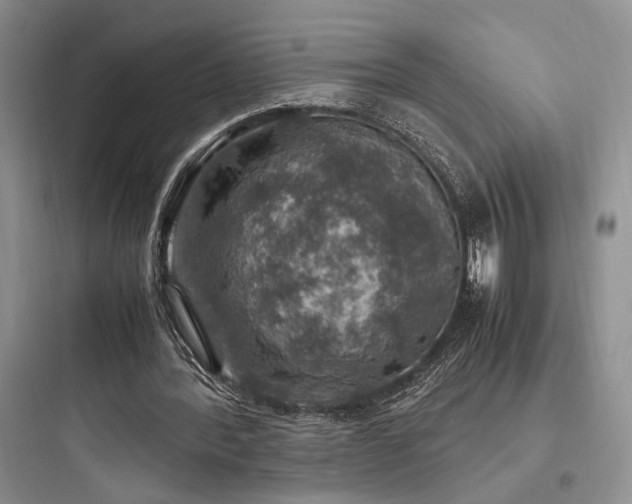 X0000097900388200803211446