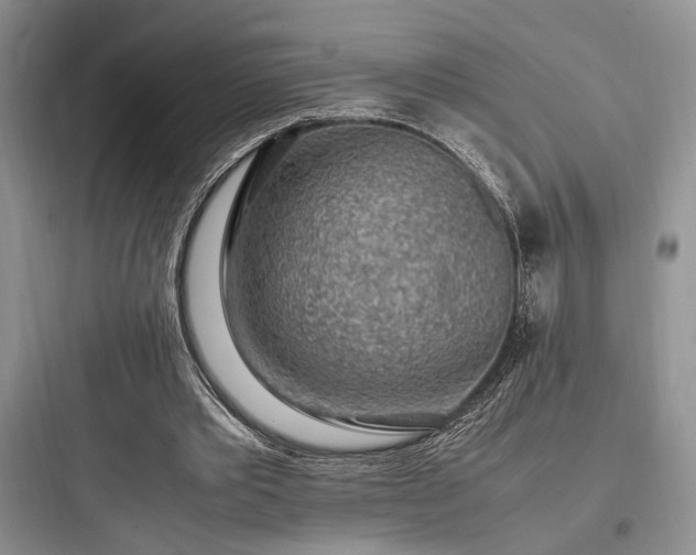 X0000097900389200803211446