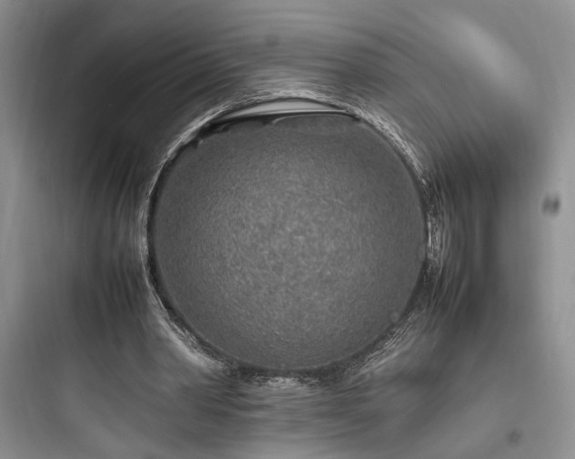 X0000097900390200803211446