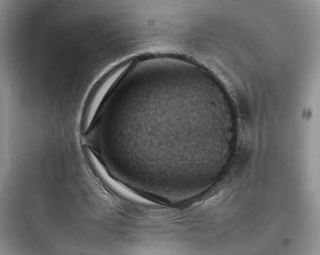 X0000097900391200803211446
