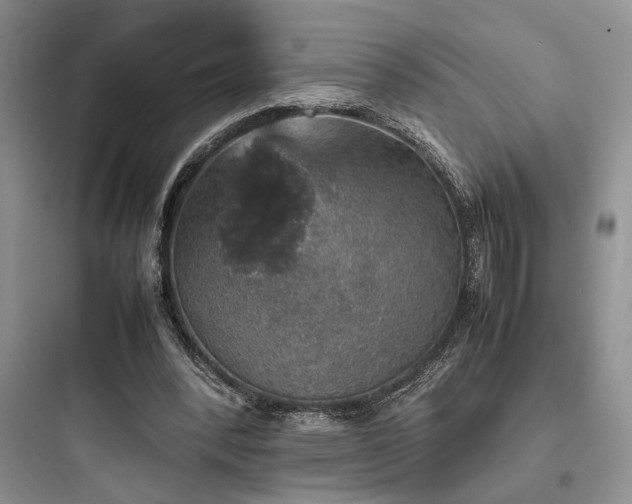 X0000097900392200803211446