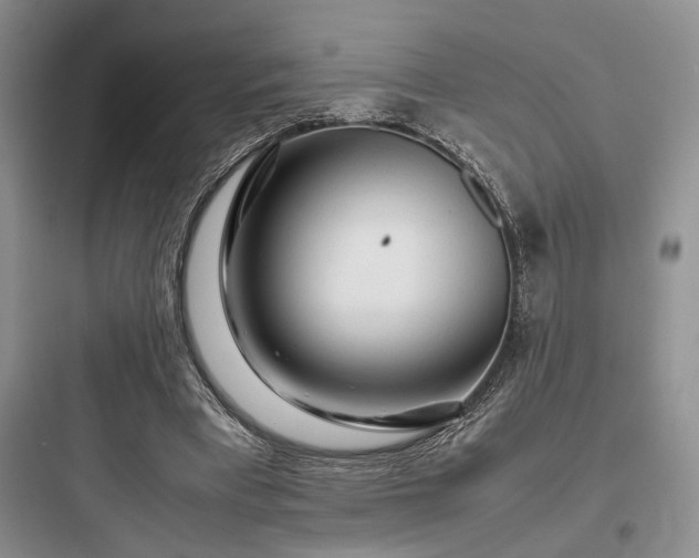 X0000097900393200803211446