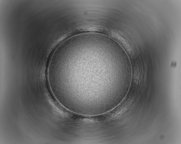 X0000097900394200803211446
