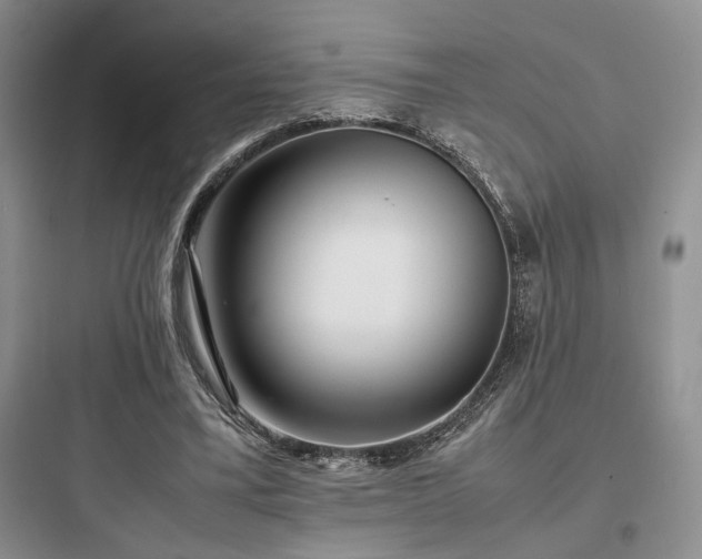 X0000097900395200803211446