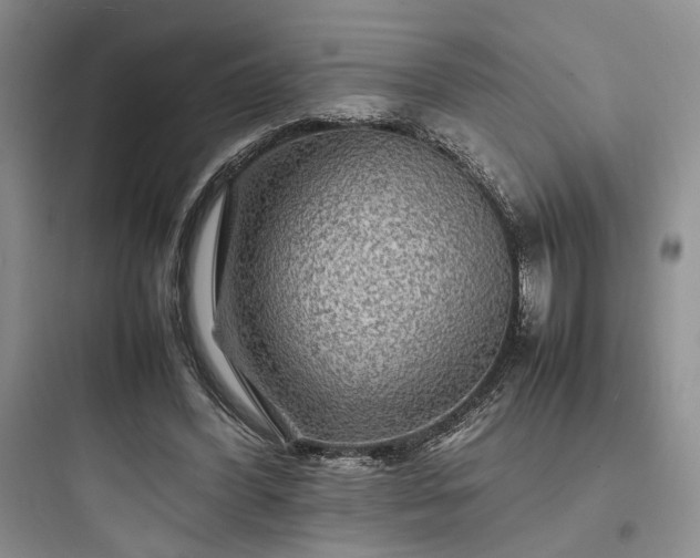 X0000097900396200803211446