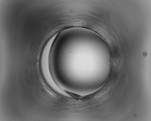 X0000097900397200803211446