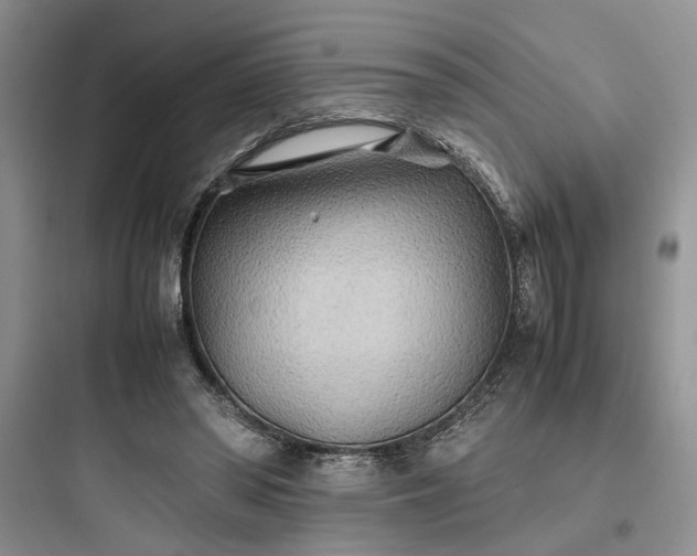 X0000097900398200803211446