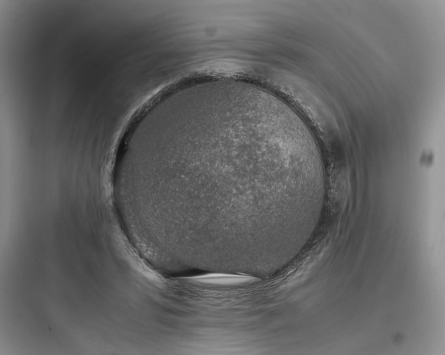 X0000097900399200803211446