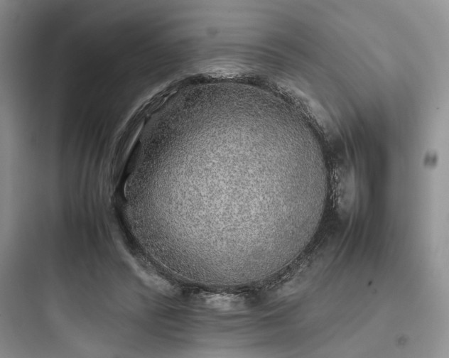 X0000097900400200803211446