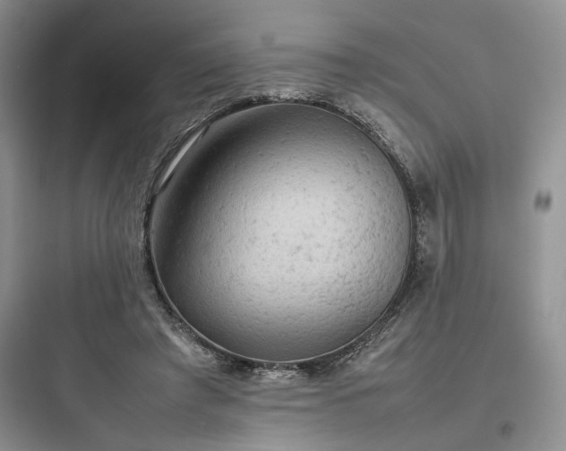 X0000097900401200803211446