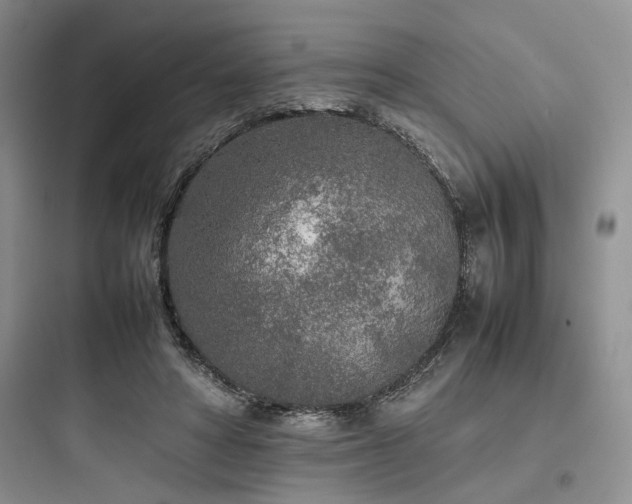 X0000097900402200803211446