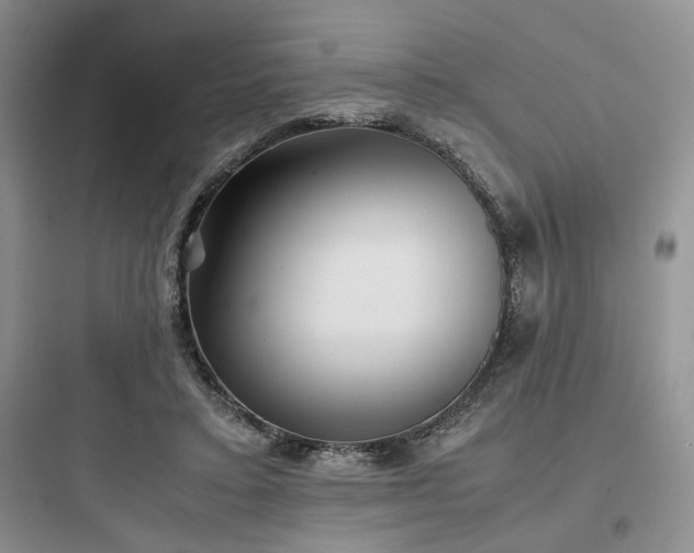 X0000097900403200803211446