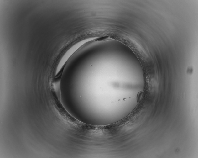 X0000097900404200803211446