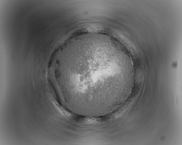 X0000097900405200803211446