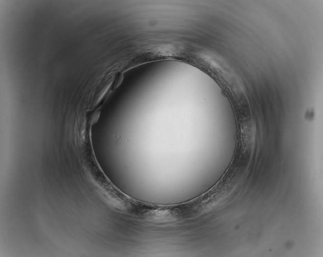 X0000097900406200803211446