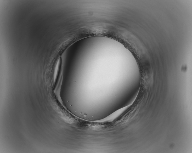 X0000097900407200803211446