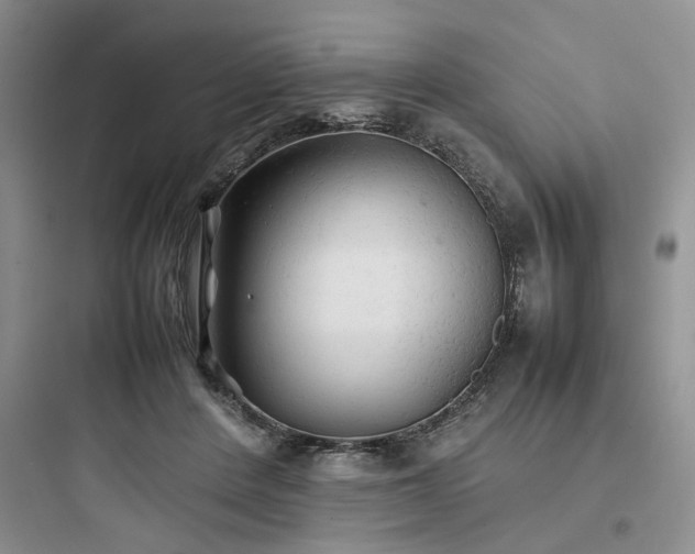X0000097900408200803211446