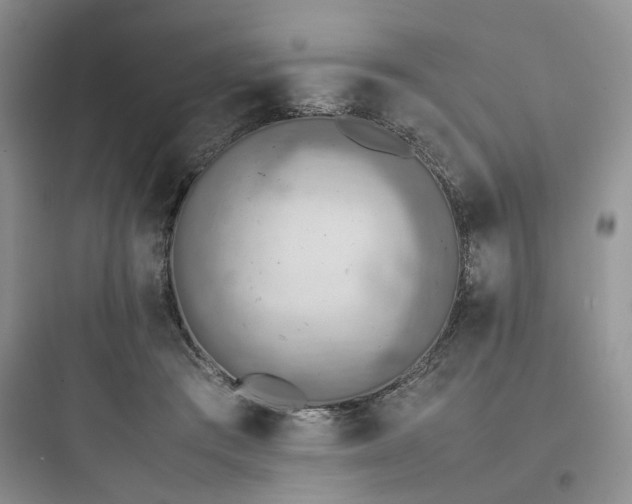 X0000097900409200803211446