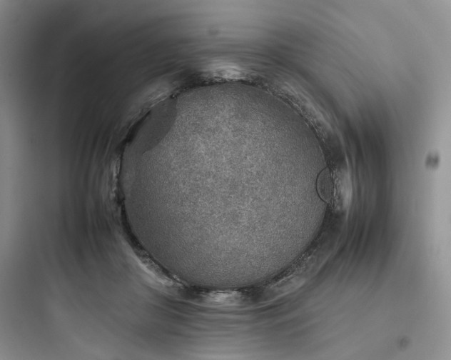 X0000097900410200803211446