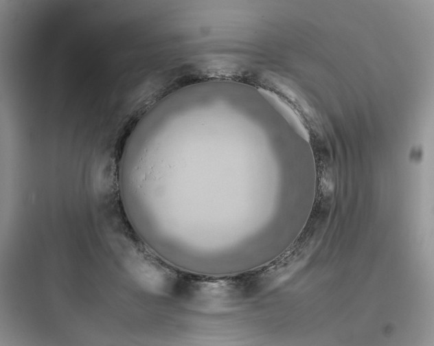 X0000097900411200803211446