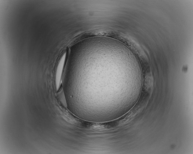 X0000097900413200803211446