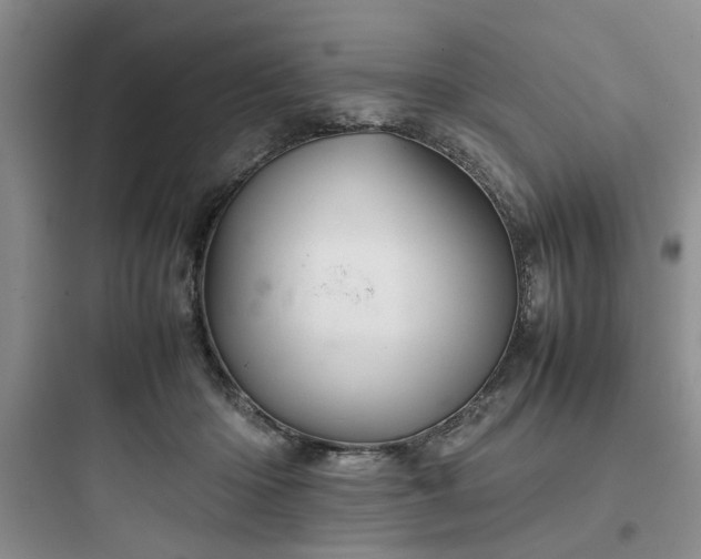 X0000097900414200803211446