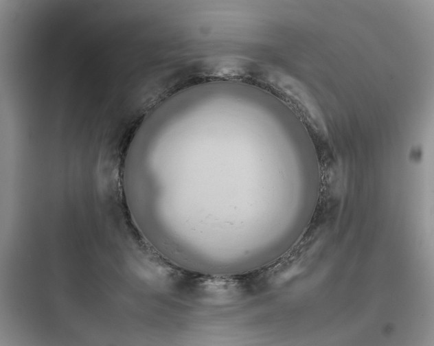 X0000097900415200803211446
