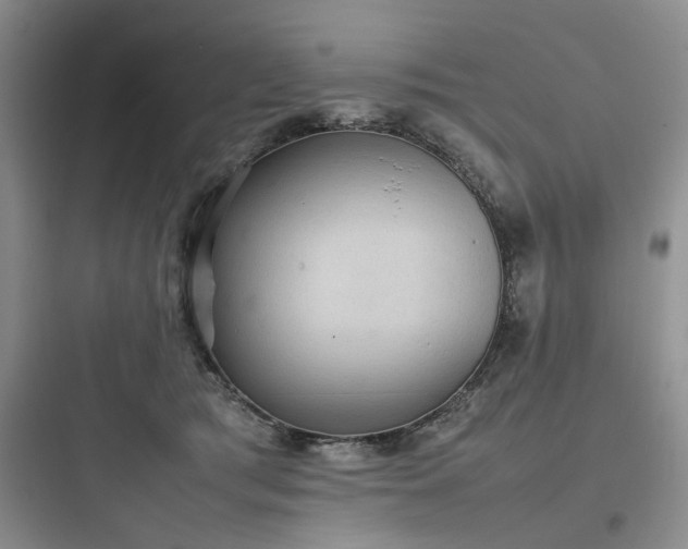 X0000097900417200803211446
