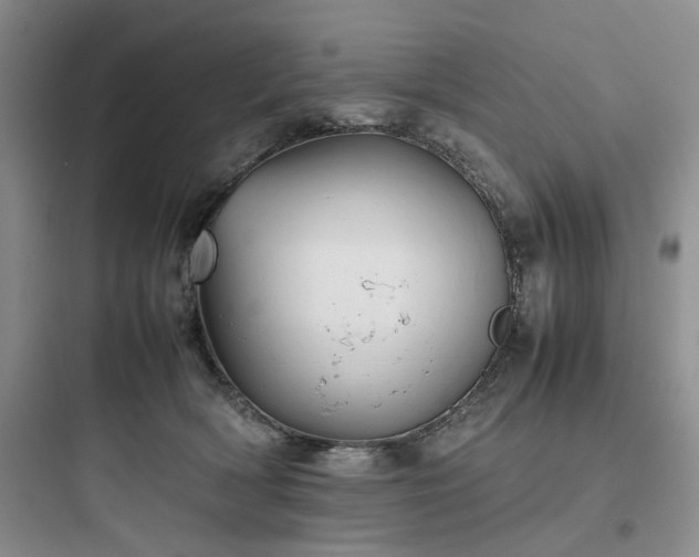 X0000097900418200803211446