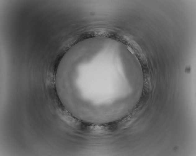 X0000097900419200803211446