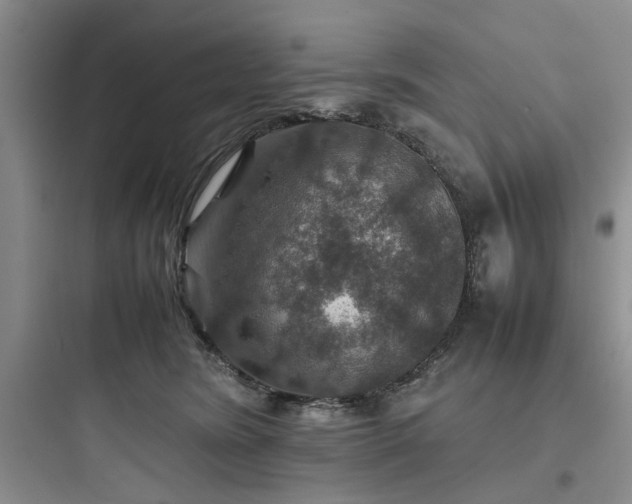 X0000097900420200803211446